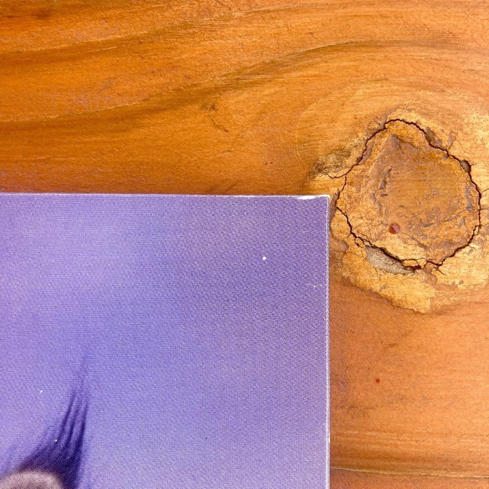 2003 Meade Kitty Cat Folder Y2K